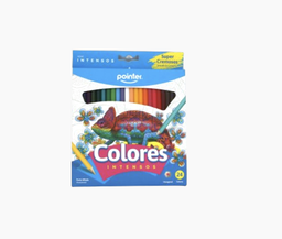 [11586] Pointer - Crayon de Madera 24 Colores Largo Hexagonal BT-HCP-24